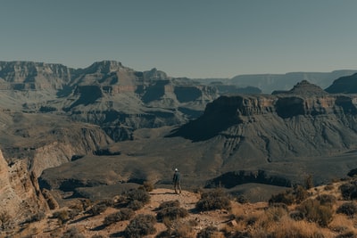 白天在棕色田野上行走的人